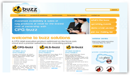buzzsolutions.com